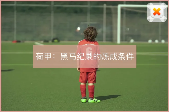 荷甲:黑马纪录的炼成条件