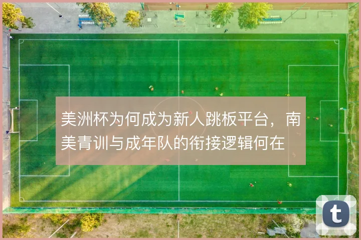 美洲杯为何成为新人跳板平台，南美青训与成年队的衔接逻辑何在
