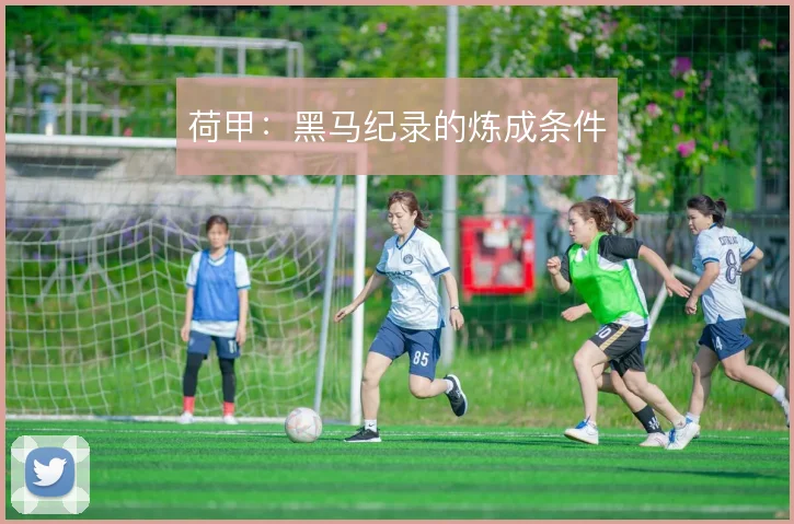 荷甲:黑马纪录的炼成条件